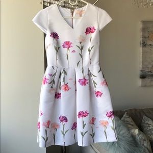 Ted Baker Dress